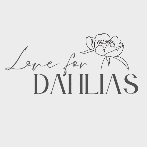Love For Dahlias